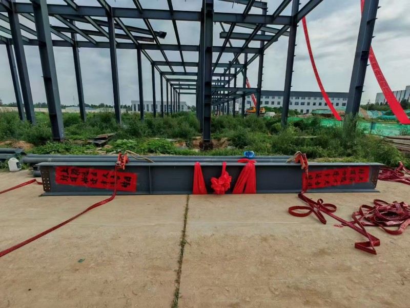 Yongcheng Xingye Steel Structure Company Przyspieszone budowę warsztatów żywnościowych Hebei Bosheng